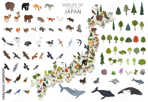 Isometric 3d design of Japan wildlife. Animals, birds and plants constructor elements isolated on white set. Build your own geography infographics collection