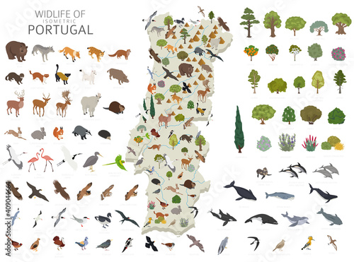 Isometric 3d design of Portugal wildlife. Animals, birds and plants constructor elements isolated on white set. Build your own geography infographics collection © a7880ss