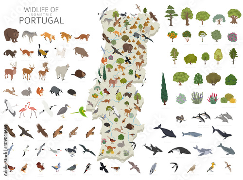 Isometric 3d design of Portugal wildlife. Animals, birds and plants constructor elements isolated on white set. Build your own geography infographics collection