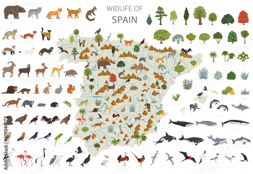 Flat design of Spain wildlife. Animals, birds and plants constructor elements isolated on white set. Build your own geography infographics collection photo