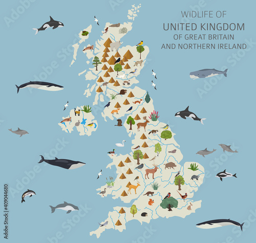 Flat design of United Kingdom wildlife. Animals, birds and plants constructor elements isolated on white set. Build your own geography infographics collection.