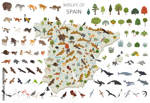 Isometric 3d design of Spain wildlife. Animals, birds and plants constructor elements isolated on white set. Build your own geography infographics collection photo