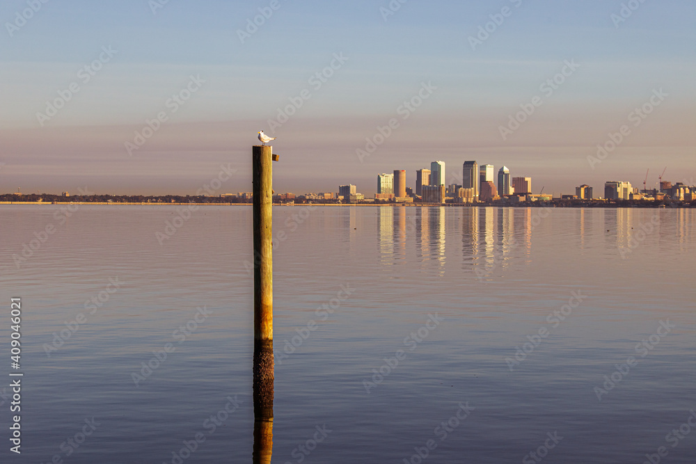 Obraz premium Skyscrapers in background across the bay