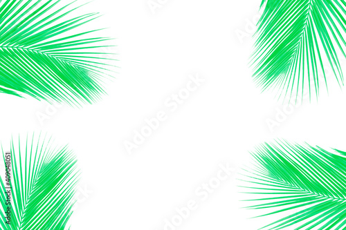 Fropical palm leaves frame botanical illustration. Exotic nature card or banner with frame for text isolated on white background. Jungle green leaf floral pattern. Tropical palm leaves card.