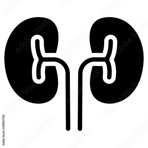 Human nephron organ, kidneys icon