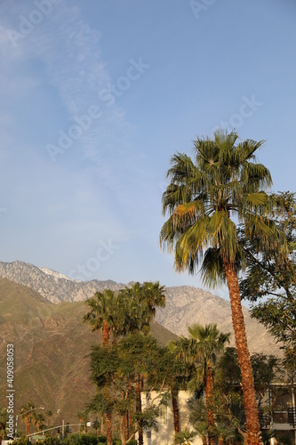 A scenic shot of palm trees and mountains in Palm Springs California during the summer