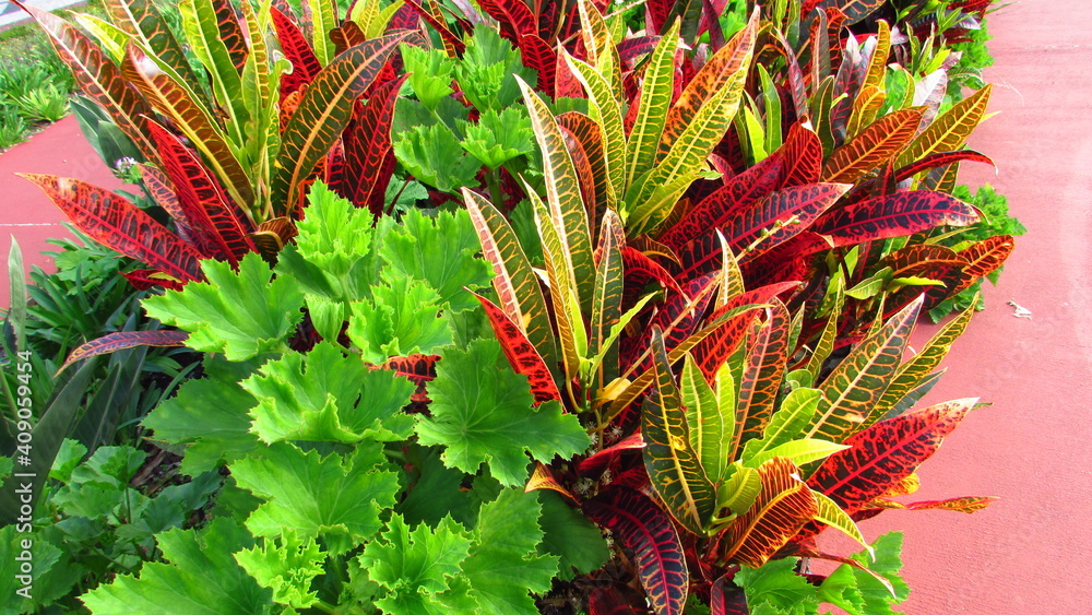 Obraz premium garden land