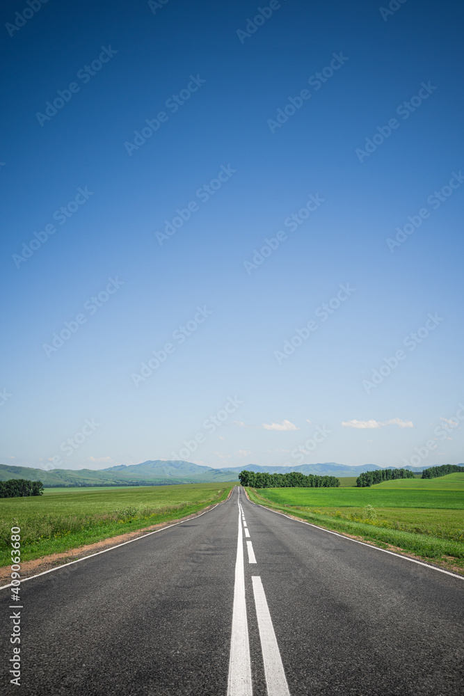 Fototapeta premium An asphalt road among meadows leading to the mountains on the horizon. Beautiful summer landscape with blue sky, greenery and highway. Minimalism, transport links, travel concept.