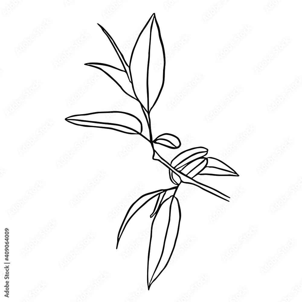 Cute hand drawn floral element. Sketch with tropical twigs with leaves. Vector illustration for natural design, prints on clothing, posters, postcards. Cute hand drawn floral element. Sketch with tropical twigs with leaves. Vector illustration for natural design, prints on clothing, posters, postcards.