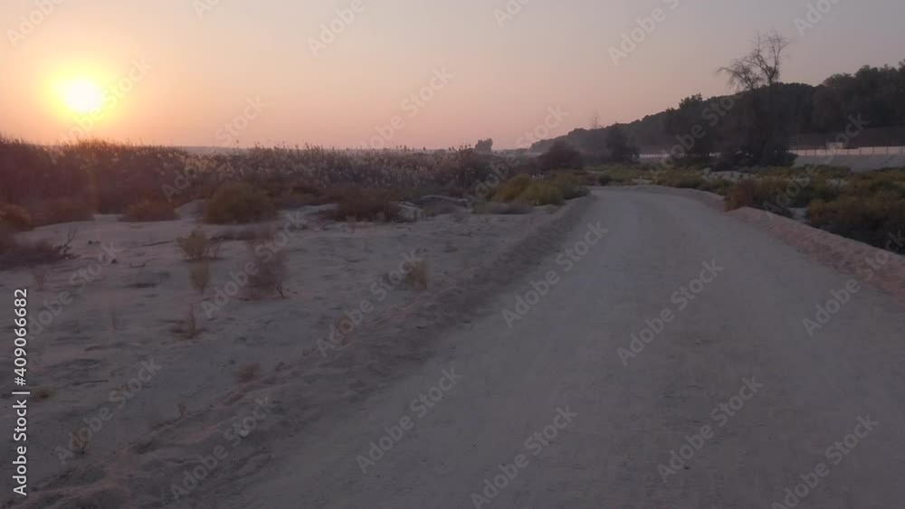 Dessert wild plants and nature | Spectacular Landscape View at Al Wathba Wetland Reserve in Abu Dhabi, UAE | coastal salt flat (sabkha) lakes Dessert wild plants and nature | Spectacular Landscape View at Al Wathba Wetland Reserve in Abu Dhabi, UAE | coastal salt flat (sabkha) lakes