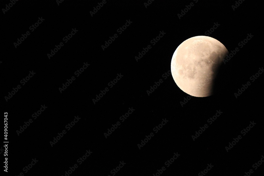 Moon Moon