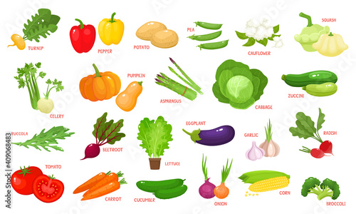 Colorful cartoon vegetables icons isolated on white.