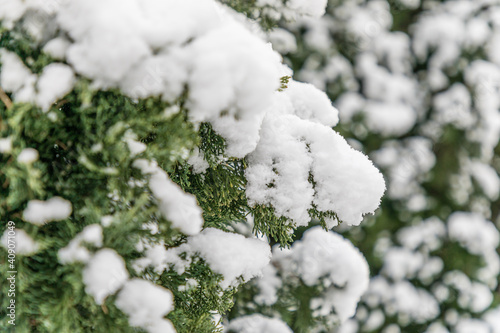 parks of Madrid, covered by snow, due to the storm Philomena of January 2021 photo