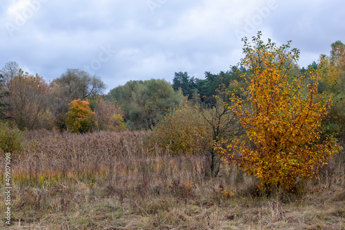  Autumn landscape on a cloudy October day.