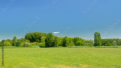 Sunny green field with trees in Kalkense Meersen nature reserve, Flanders, Belgium photo