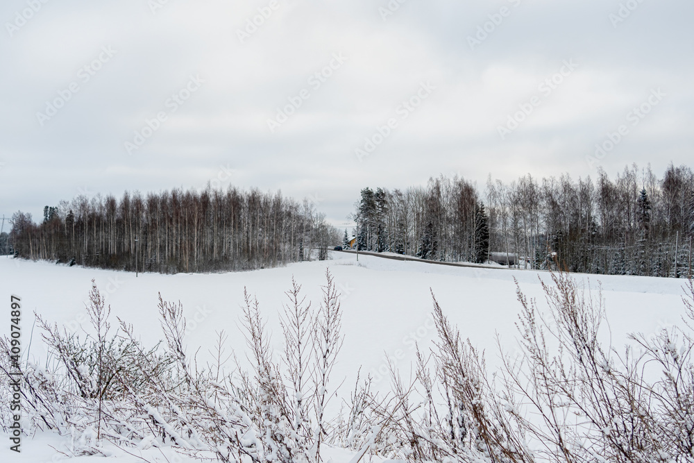 Snow-covered field against the background of the forest. Snowy forest landscape. Snowy winter concept. Finnish nature.