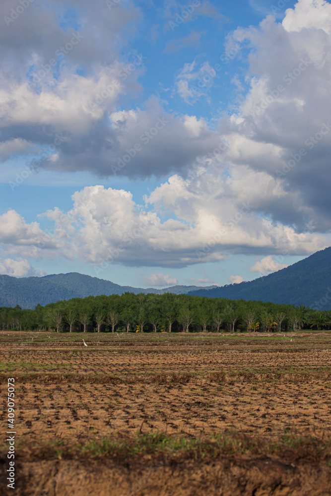 Fields in the dry season outside the city Fields in the dry season outside the city