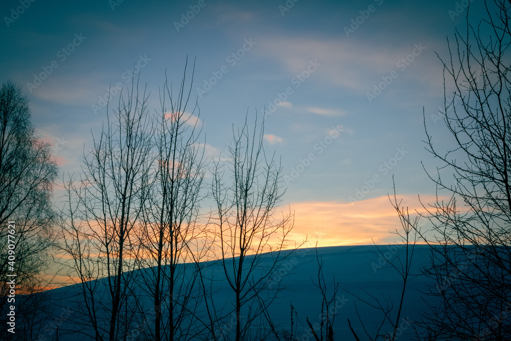 Snow forest during sunrise; Bright rays of the sun cut through frozen branches and tree trunks