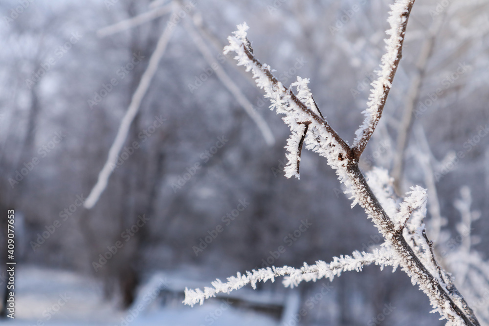 Beautiful winter landscape with trees and snow Beautiful winter landscape with trees and snow