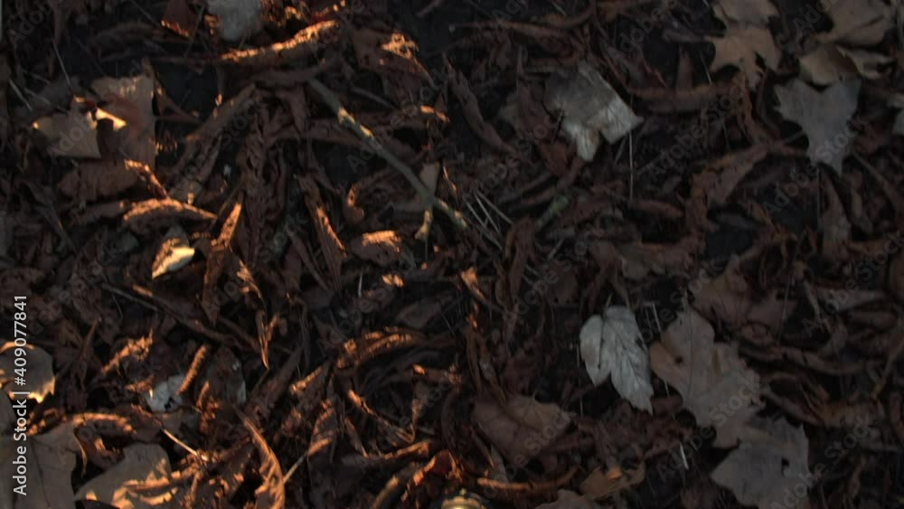 Kicking up Autumn leaves in slow motion with black boots Kicking up Autumn leaves in slow motion with black boots