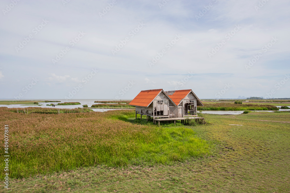 Twin house in the middle of the lake, Thale Noi, Phatthalung Twin house in the middle of the lake, Thale Noi, Phatthalung