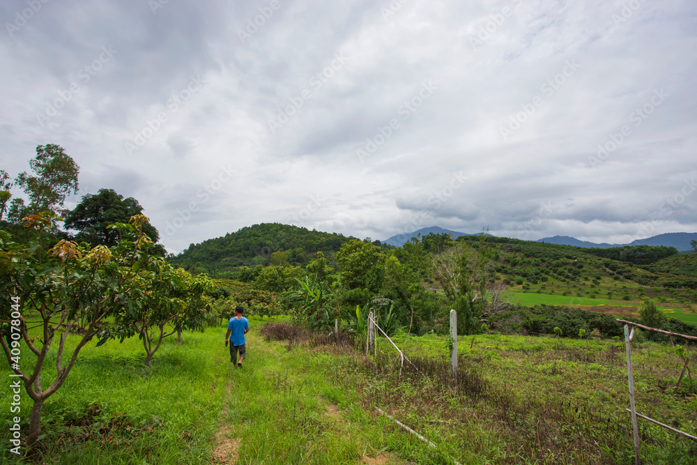 Chiang Mai Longan Garden