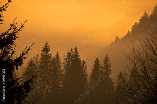 Warm Picture of Sunset Behind Spruce Forest on Foggy Autumn or Winter Day. Misty Mountain hills in fog on Cloudy Weather