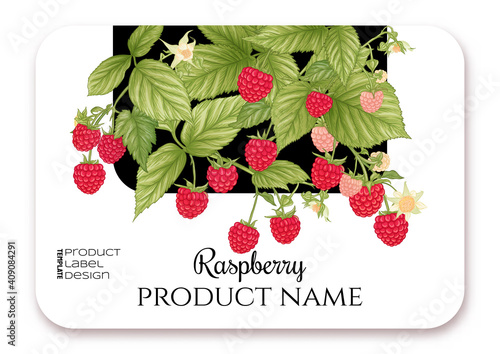 Raspberry. Ripe berries on branch. Template for product label, cosmetic packaging. Easy to edit. Graphic drawing, engraving style. Vector illustration