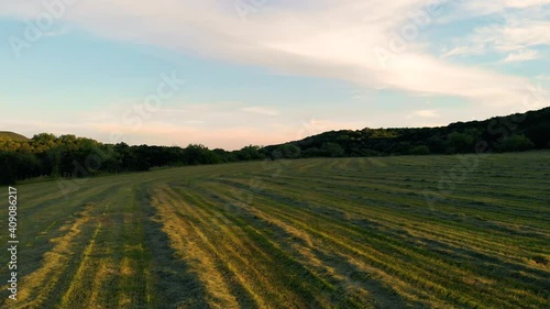 Low angle aerial shot field with new cut grass drying on ground. photo