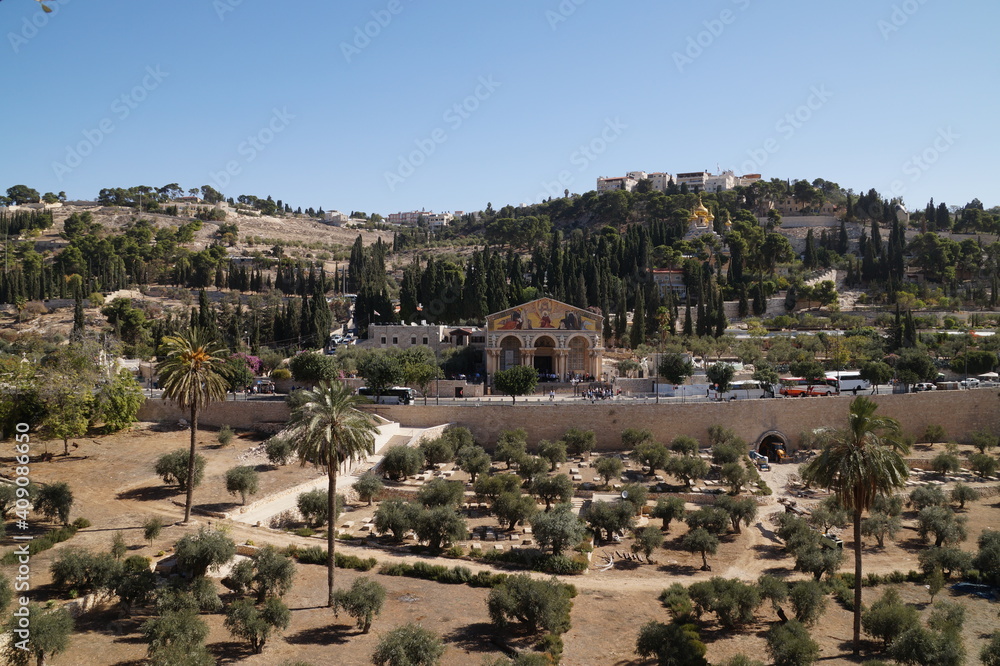 Fototapeta premium mount of Olives in jerusalem