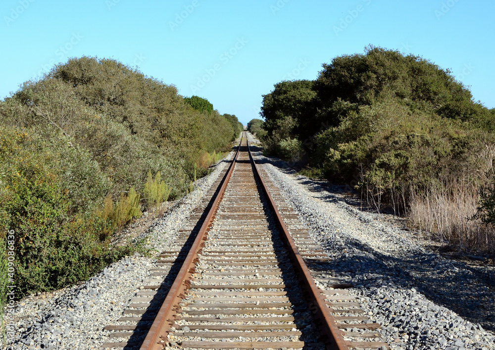 Fototapeta premium Parallel Lines