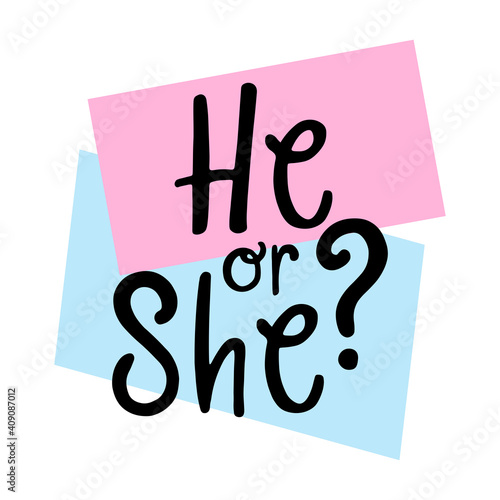 He or she? Gender reveal party card, banner vector element  design