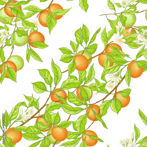 Orange tree branch with fruits, flowers and leaves. Seamless pattern, background. Colored vector illustration. Isolated on white background..