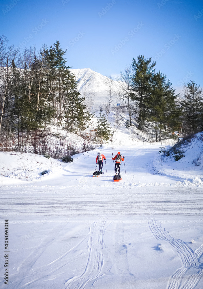 Two men ski across a road dragging pulk sleds in winter Two men ski across a road dragging pulk sleds in winter