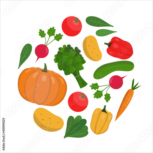 Fototapeta Naklejka Na Ścianę i Meble -  Round composition of vegetables on a white background. Vector illustration for menu, website, packaging or decor