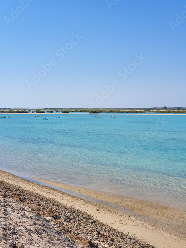 spiaggia a sir bani yas