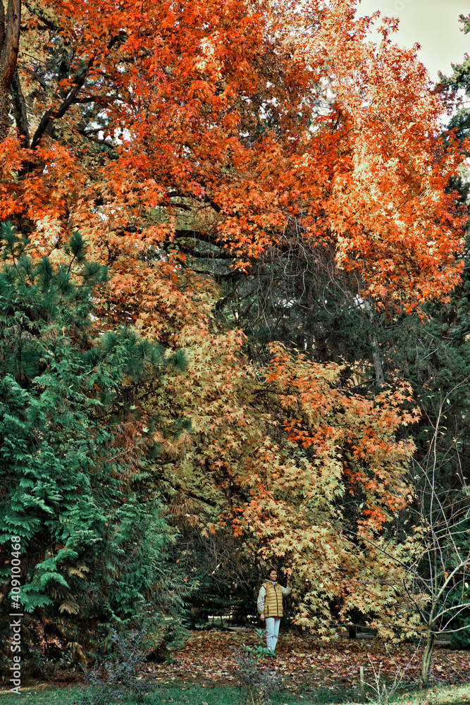 Woman walking in park at autumn time