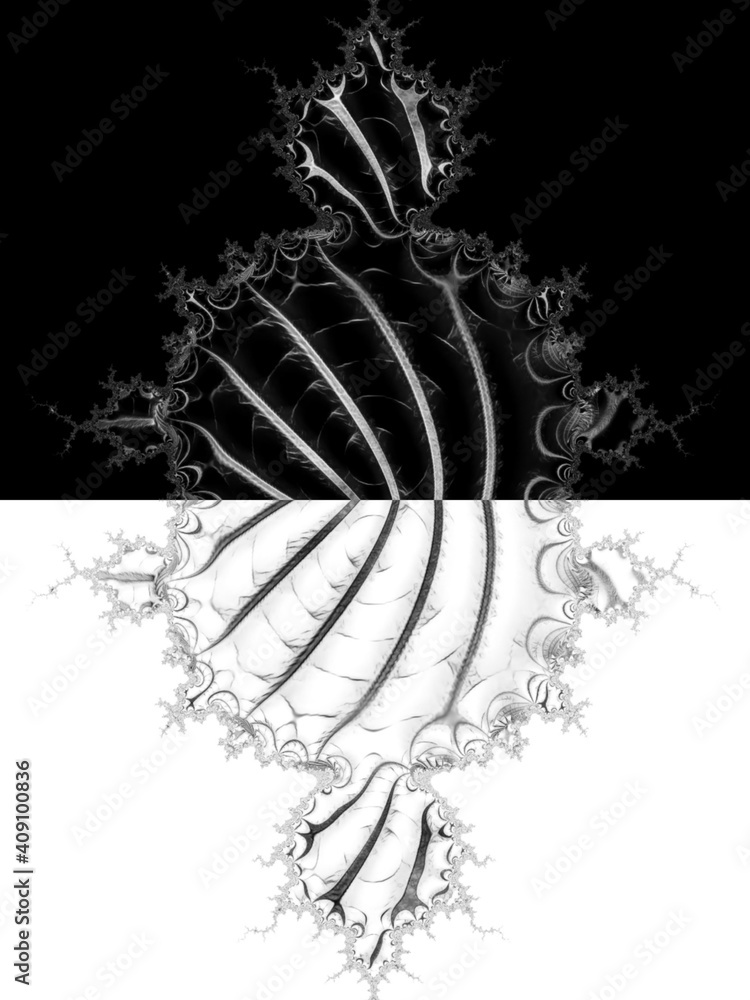 Obraz premium intricate black and white positive and negative fractal of leaf veins patterns and design