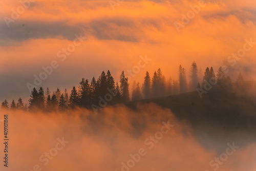 Morning mist in mn.ountain woodland. Autumn daw