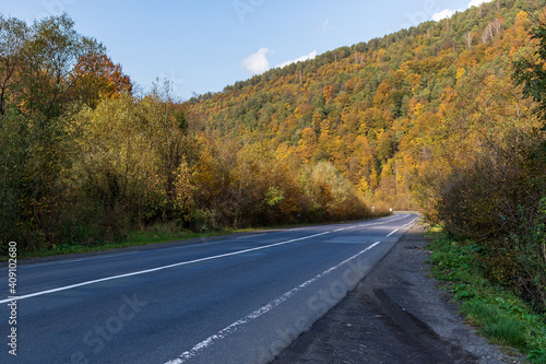 Autumn mountain landscape - yellowed and reddened autumn trees combined with green needles and blue sky on the side of a deserted road. Colorful autumn landscape scene in the Ukrainian Carpathians.