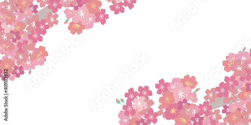 春の桜ベクター背景　バナー　壁紙　タイトル　背景　Cherry blossom illustration for spring