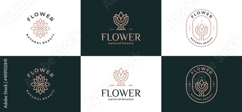 abstract flower leaf logo design illustration