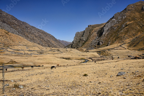 Stunning sceneries towards Jahuacocha on the Cordillera Huayhuash circuit  Ancash  Peru