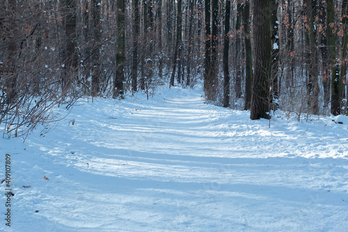 a wide path covered with snow in the forest during sunny winter day