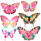 beautiful pink butterflies,watercolor,isolated on a white