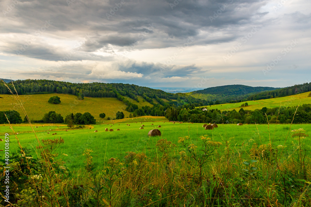 Meadow with haystack, pasture with cows, green hills with woods in summer, Rychleby mountains.