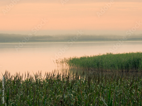 Sunrise foggy lake landscape. Orange sky, green reeds. Seksty lake, Masuria in Poland.