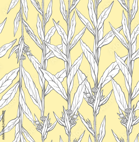 Fototapeta Naklejka Na Ścianę i Meble -  Seamless pattern with hand drawn wild flower with leaves. Vector illustration. Botanical pattern for textiles and wallpapers.