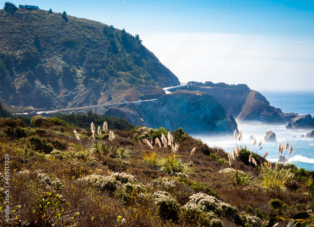 Common reeds (Phragmites australis) grow along the top of the cliffs next to scenic Highway 1 along the Pacific Coast of California between Carmel by the Sea and Big Sur. 