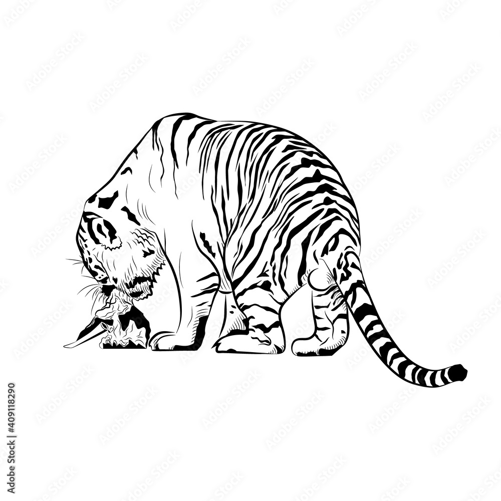 Sketch. Tiger is eating meat.